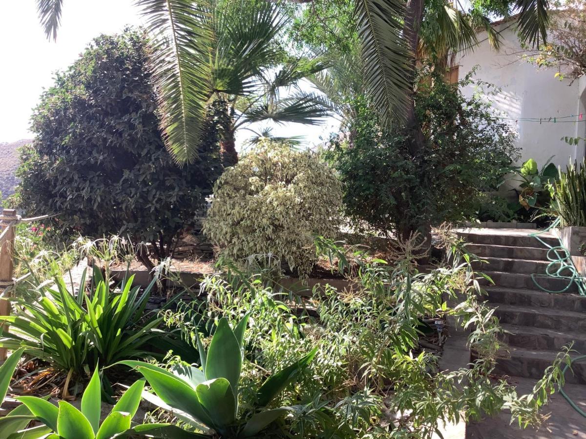 Cortijo De La Fuente Διαμέρισμα Albunol Εξωτερικό φωτογραφία