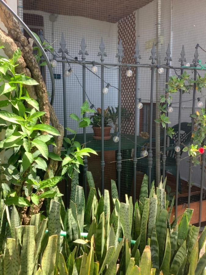 Cortijo De La Fuente Διαμέρισμα Albunol Εξωτερικό φωτογραφία